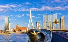Rotterdam road trips